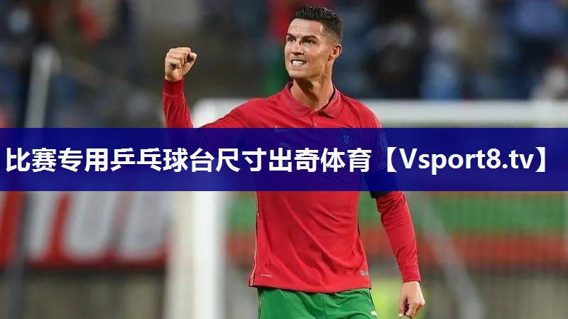 比赛专用乒乓球台尺寸出奇体育