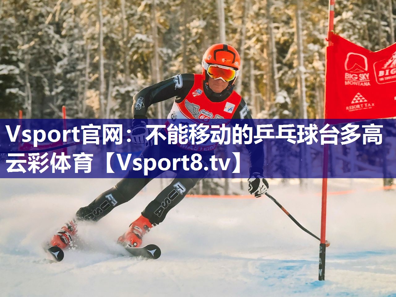 Vsport官网：不能移动的乒乓球台多高云彩体育