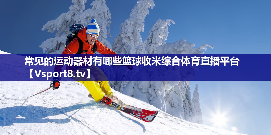 常见的运动器材有哪些篮球收米综合体育直播平台