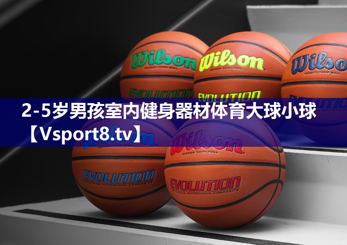 2-5岁男孩室内健身器材体育大球小球