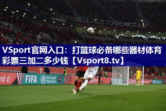 VSport官网入口：打篮球必备哪些器材体育彩票三加二多少钱