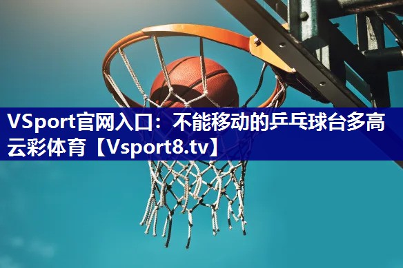 VSport官网入口：不能移动的乒乓球台多高云彩体育
