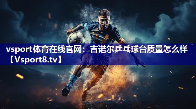 吉诺尔乒乓球台质量怎么样
