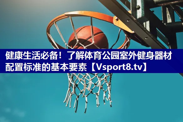 健康生活必备！了解体育公园室外健身器材配置标准的基本要素